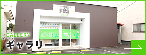ギャラリー